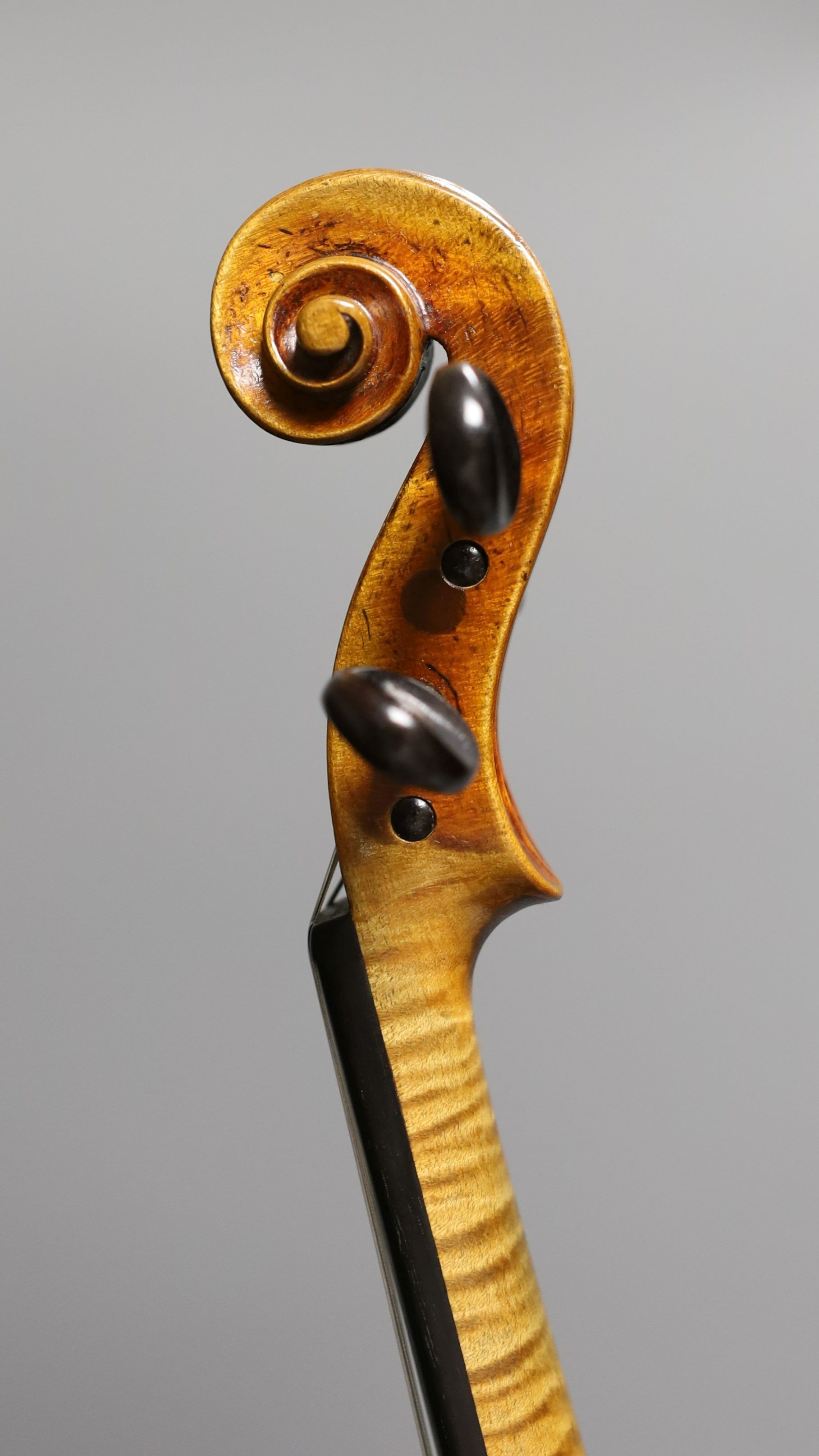 A 19th century violin labelled JB Guadagnini, back measures 35cm, with two bows, one silver-mounted.